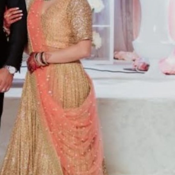 Bridal Lehenga, Party Wear, Punjabi Lehenga - Picture 1 of 3